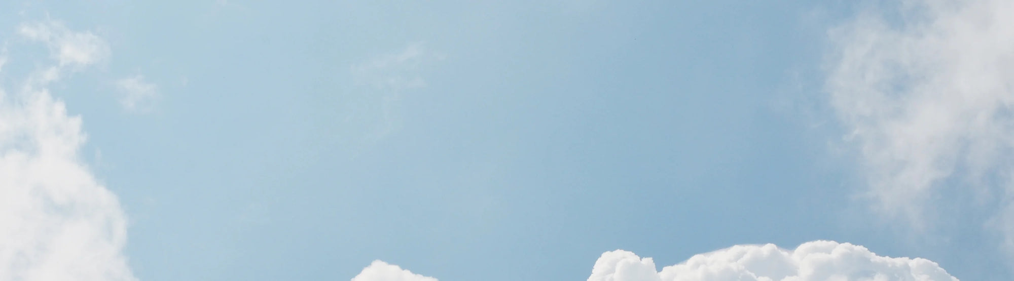 The choice of those who value themselves.